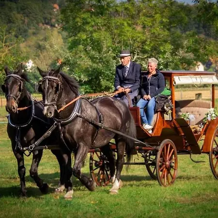 Reiterhof Schmidt, Gaststaette & *