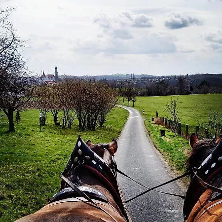 Reiterhof Schmidt, Gaststätte&pension *