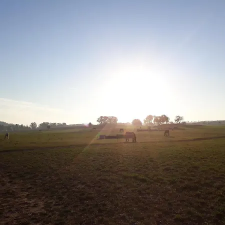 Reiterhof Schmidt, Gaststaette & Отель *