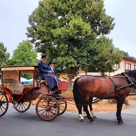 Reiterhof Schmidt, Gaststaette & Отель *