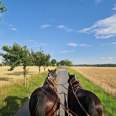 Reiterhof Schmidt, Gaststaette & * Golk